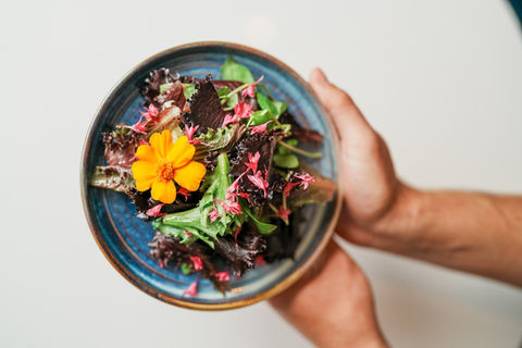 A colourful salad served at Tides St Ives